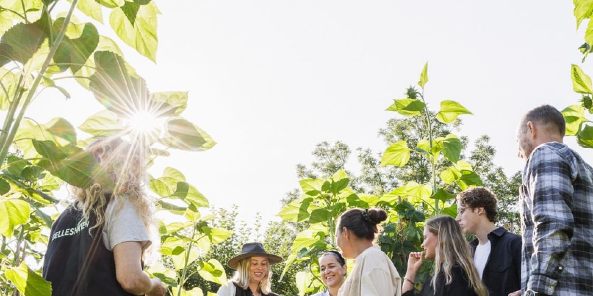 FH-25-08-24_3694-2-A4